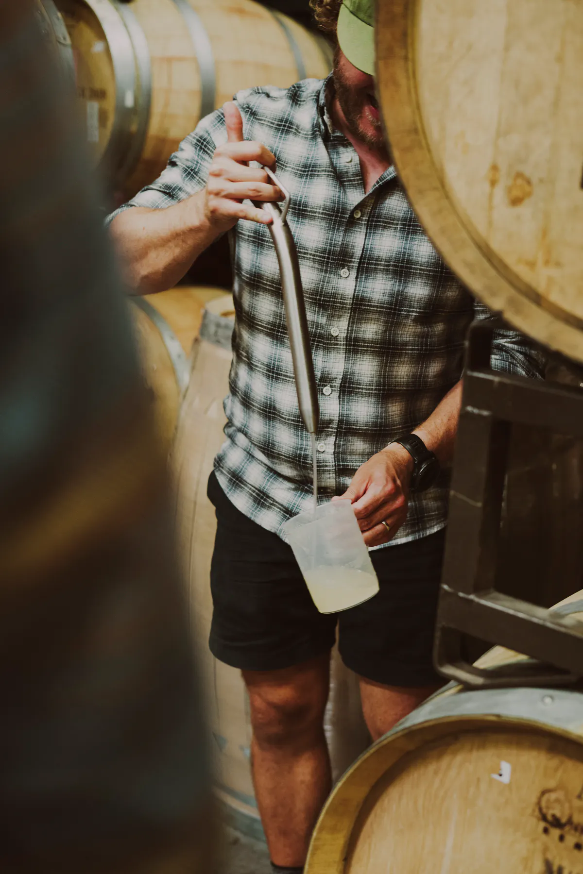 BERTUSWINEMAKING