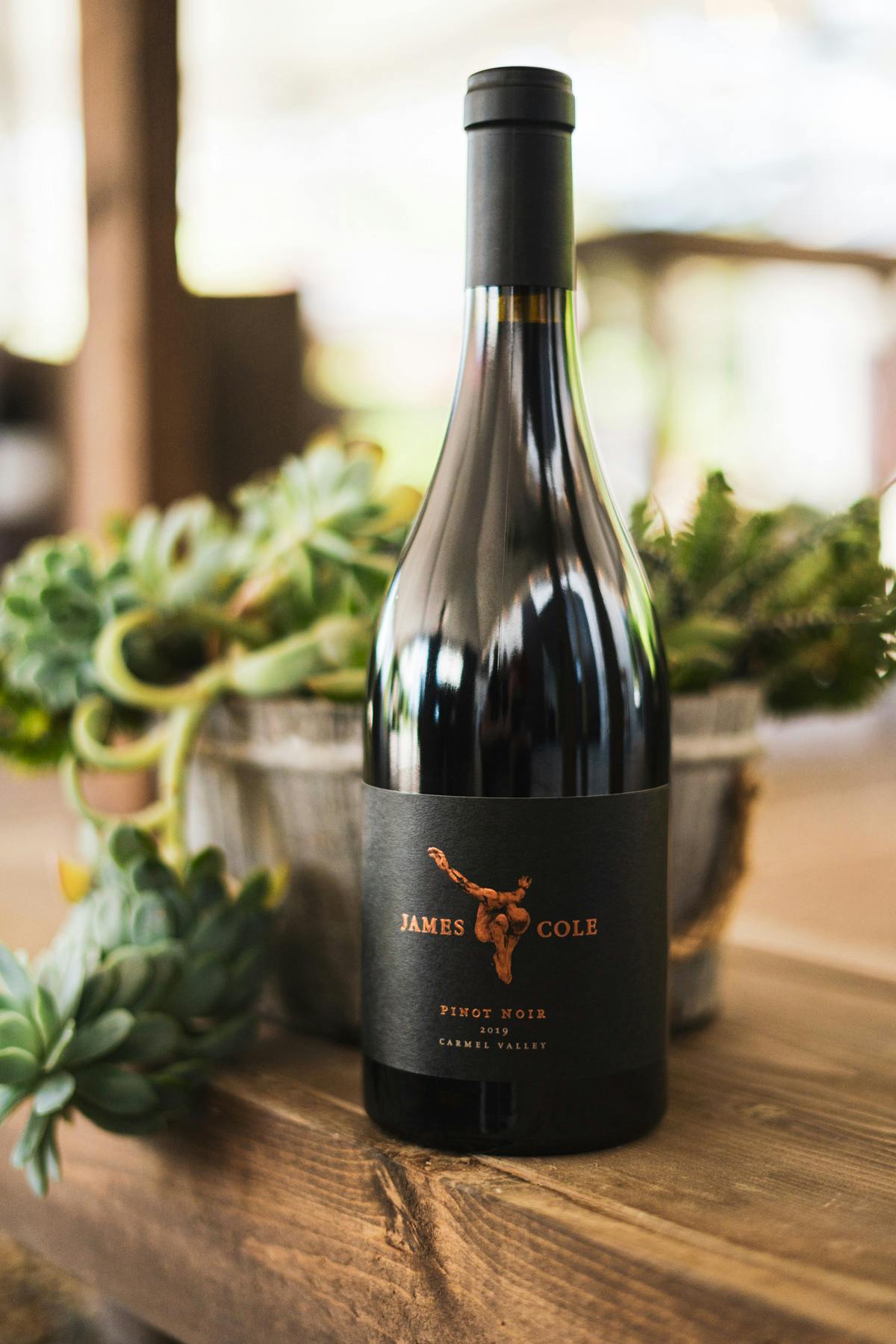 CV Pinot 5