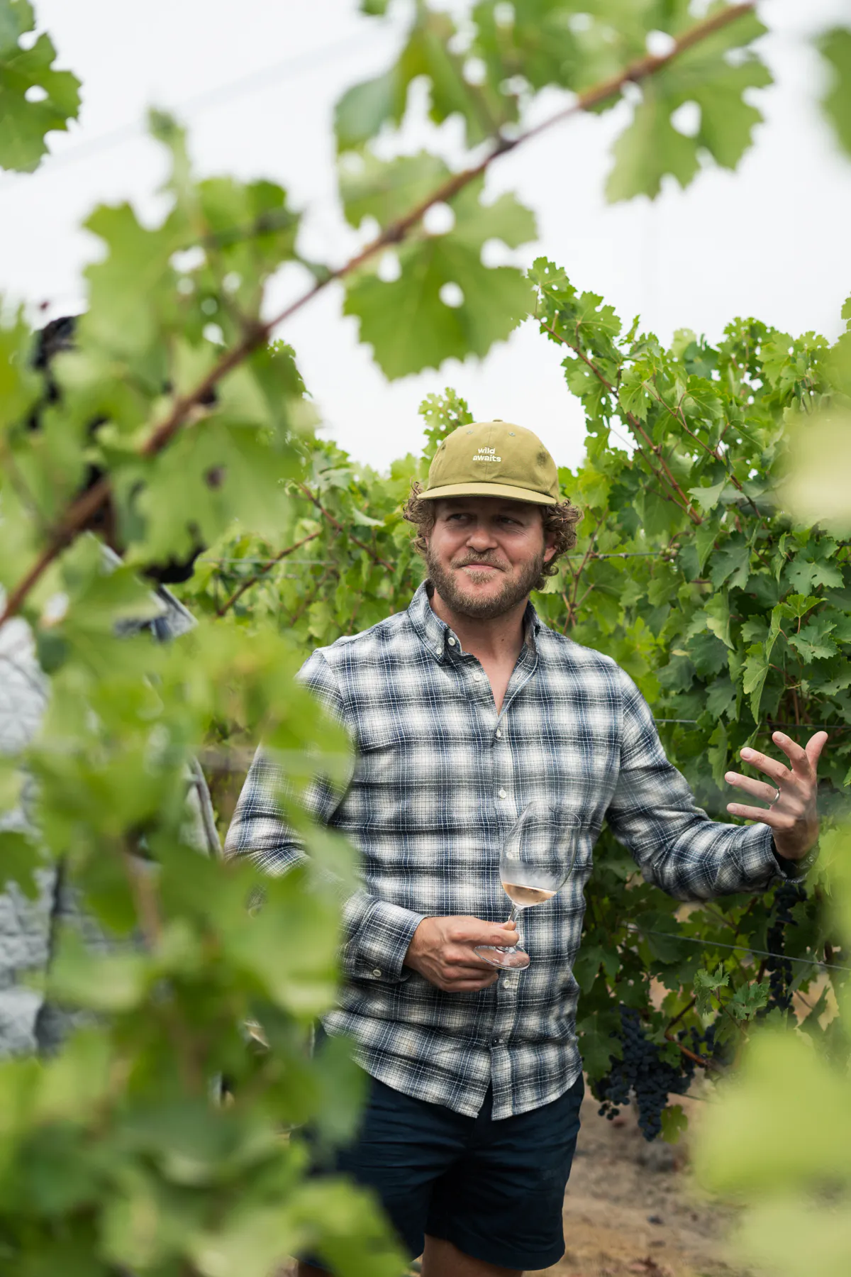 VINEYARDTOUR 8