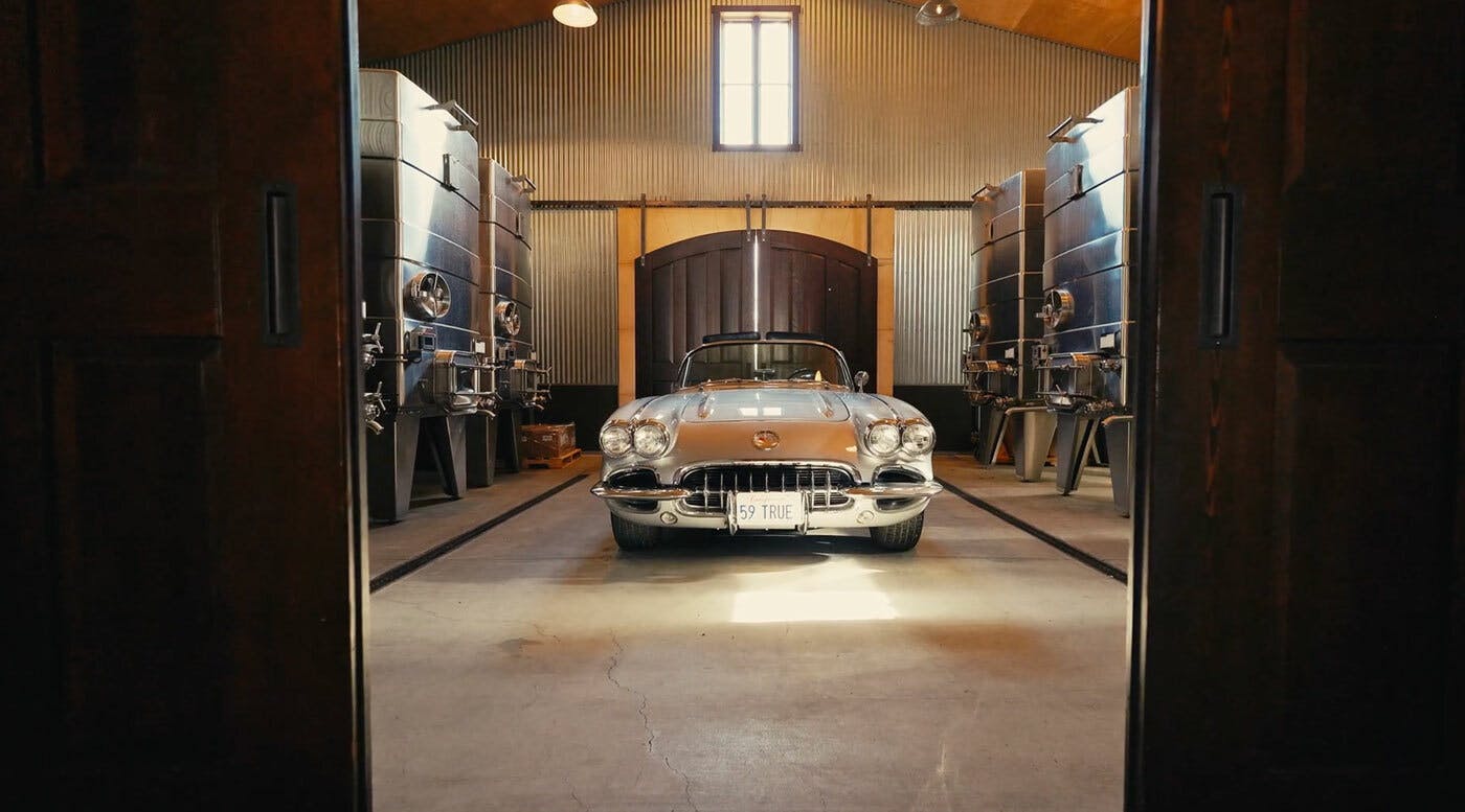 Vette