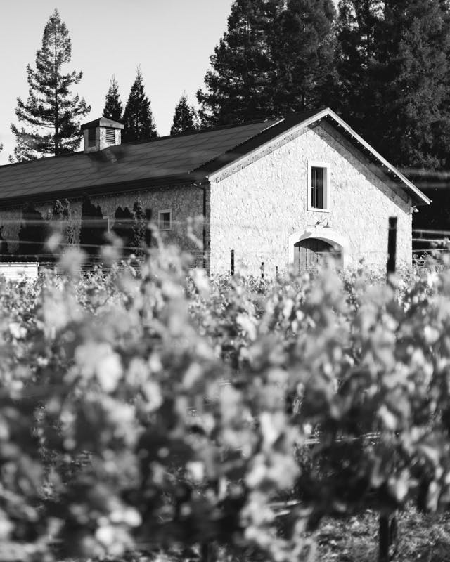 Winery Footer BW 2